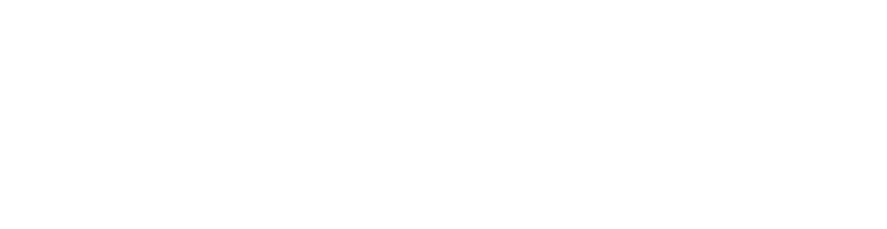 The Lewin Law Firm, PLLC